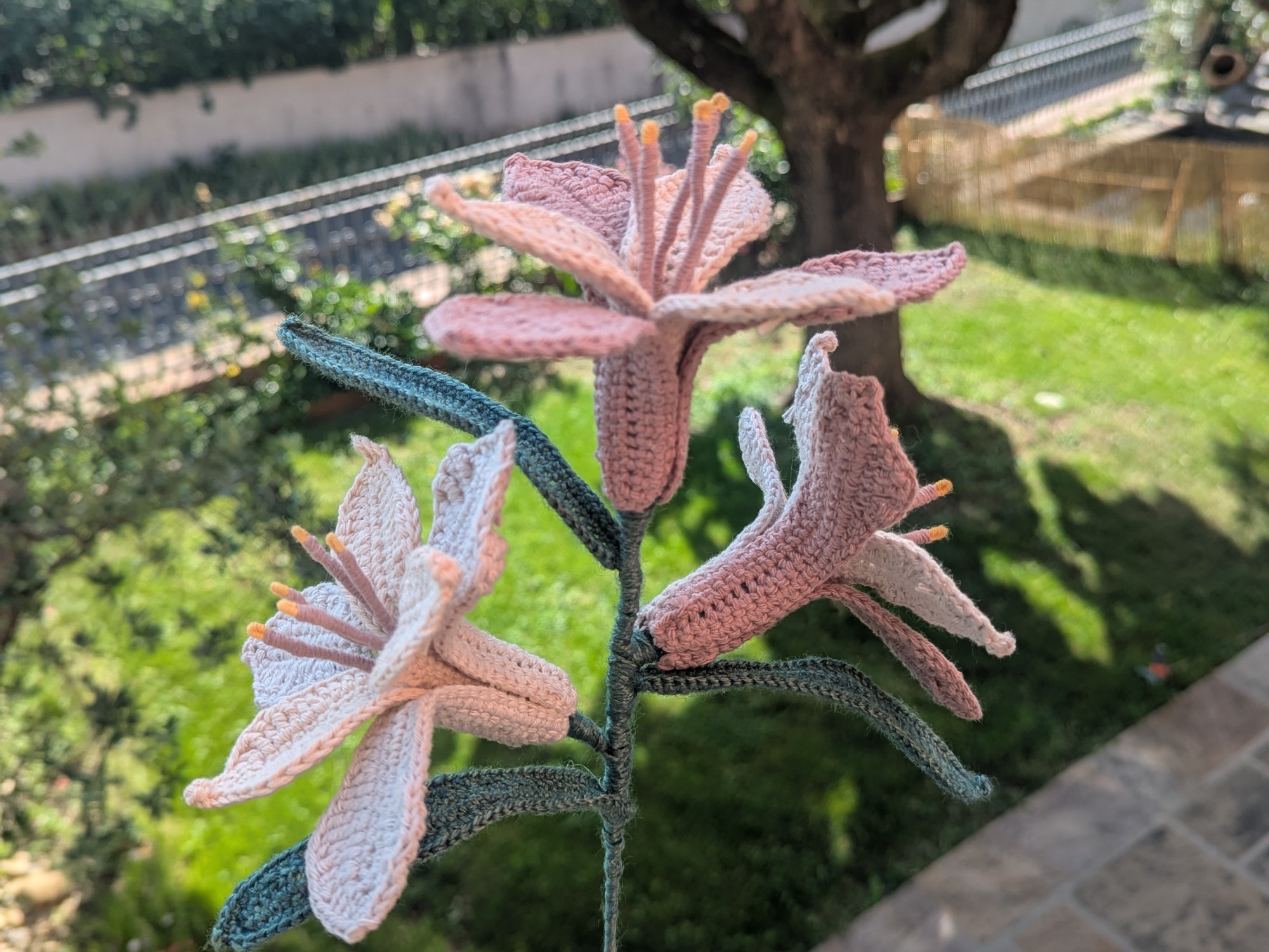 PXL_20260617_073452252