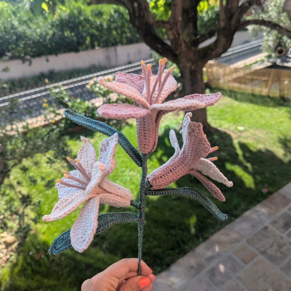 PXL_20260617_073452252