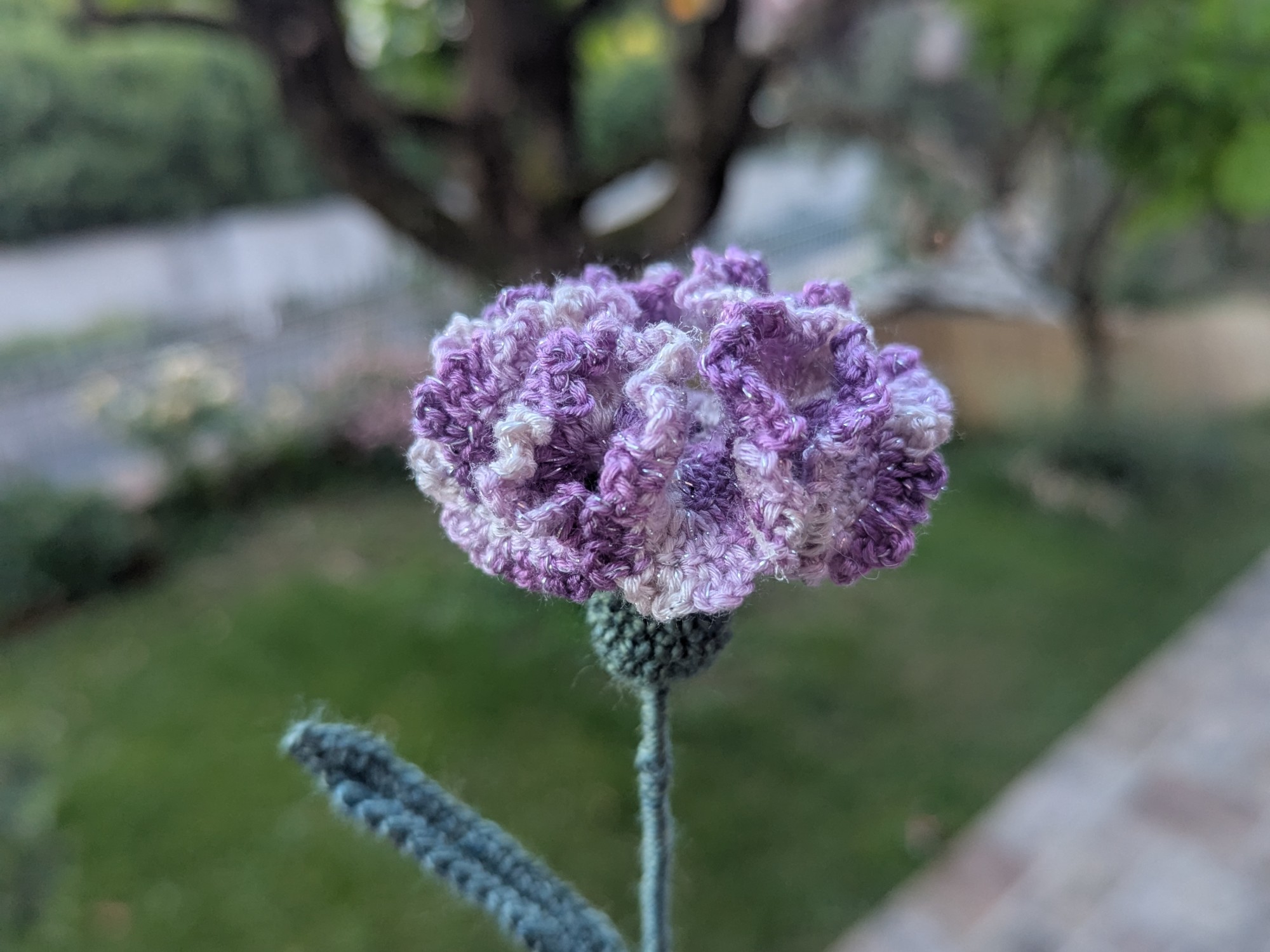 PXL_20260618_190413637