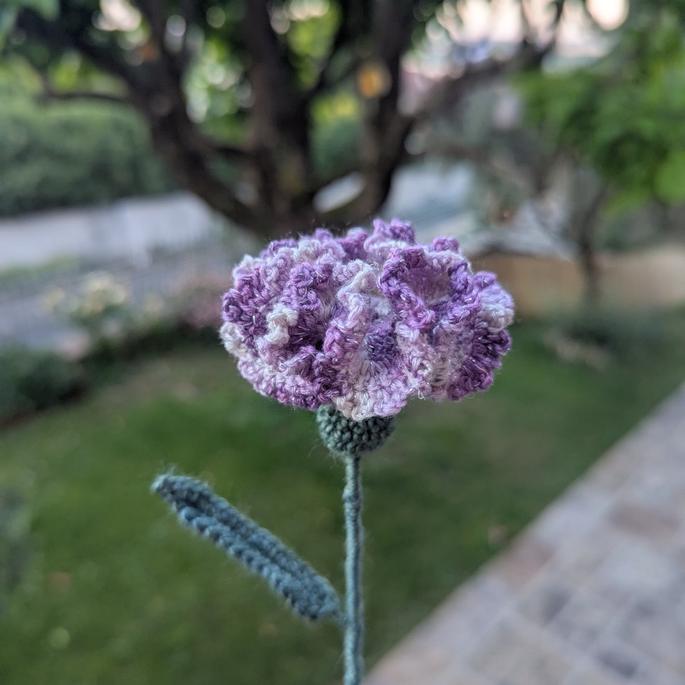 PXL_20260618_190413637
